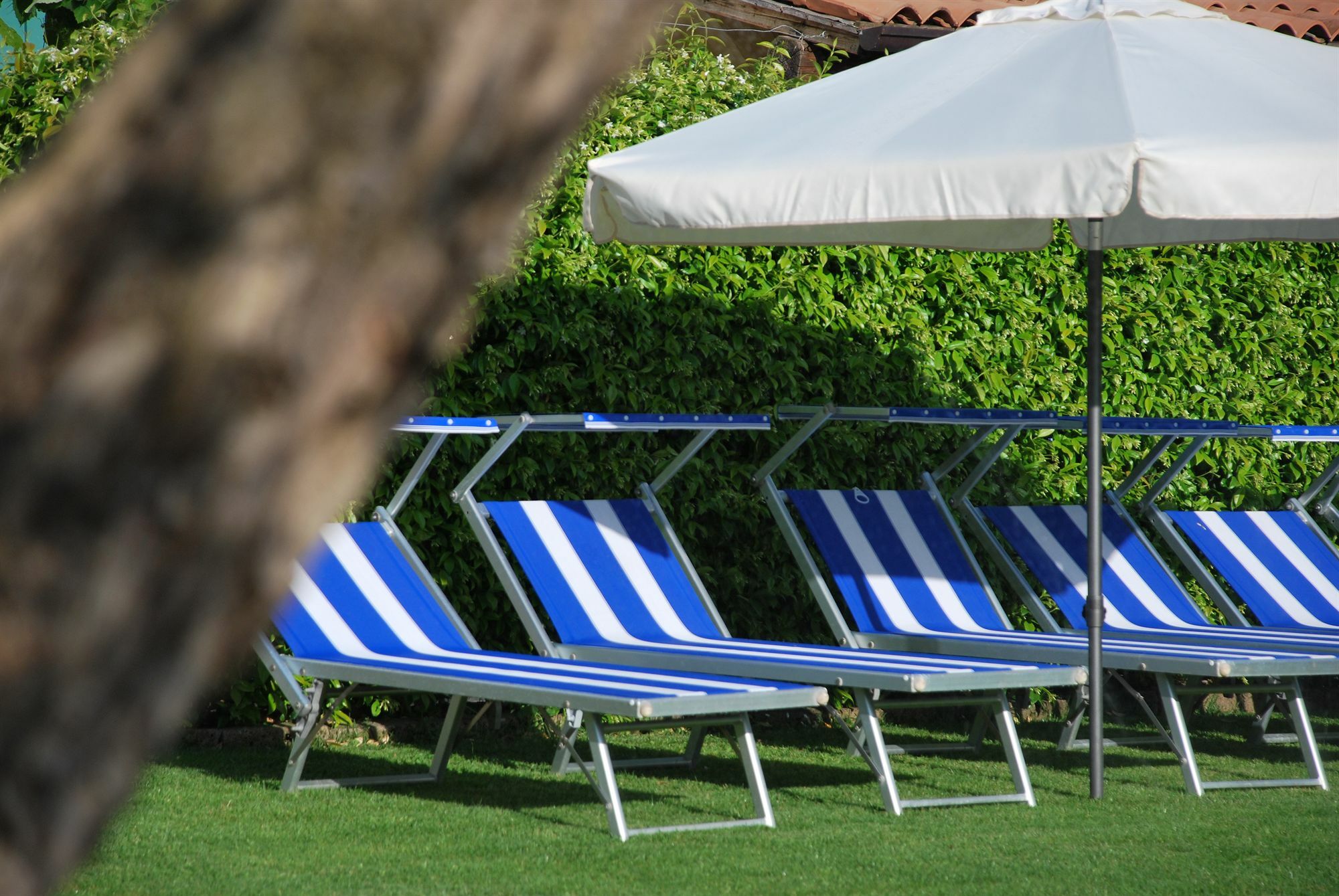 La Tinassara Bed & Breakfast Lazise Dış mekan fotoğraf